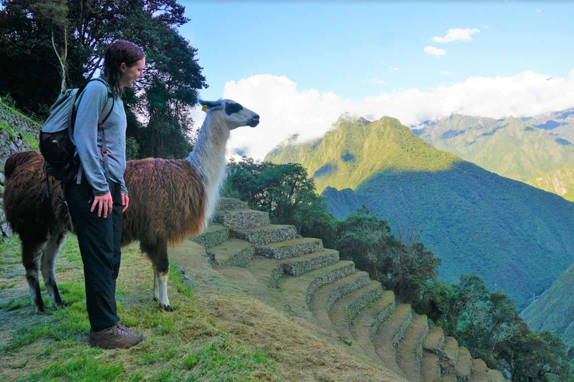 Machu Picchu 4 1
